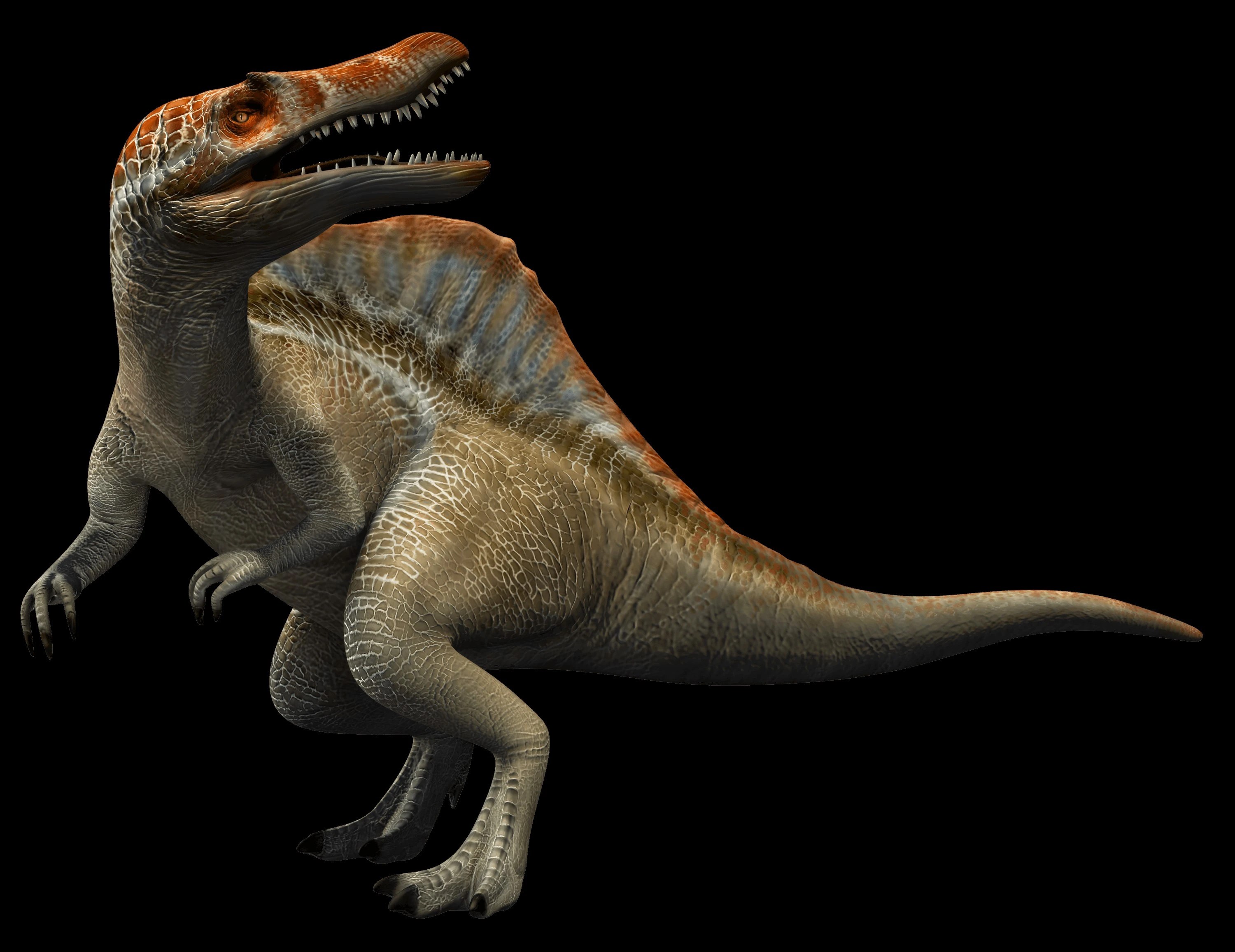 photo Spinosaurus Jurassic World Alive jurassic park wiki fandom