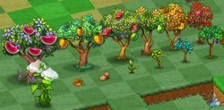 images Merge Dragons Fruit Trees Wonder fruit trees merge dragons wiki fandom