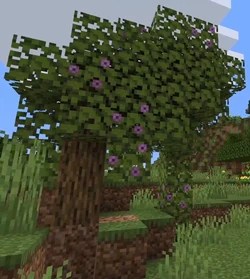 People have an innate curiosity about the natural world around them, and identifying a tree by its leaves can satisfy that curiosity. Azalea Tree Minecraft Wiki