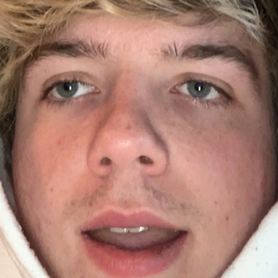 pics Carl Mrbeast karl jacobs mrbeast wiki fandom