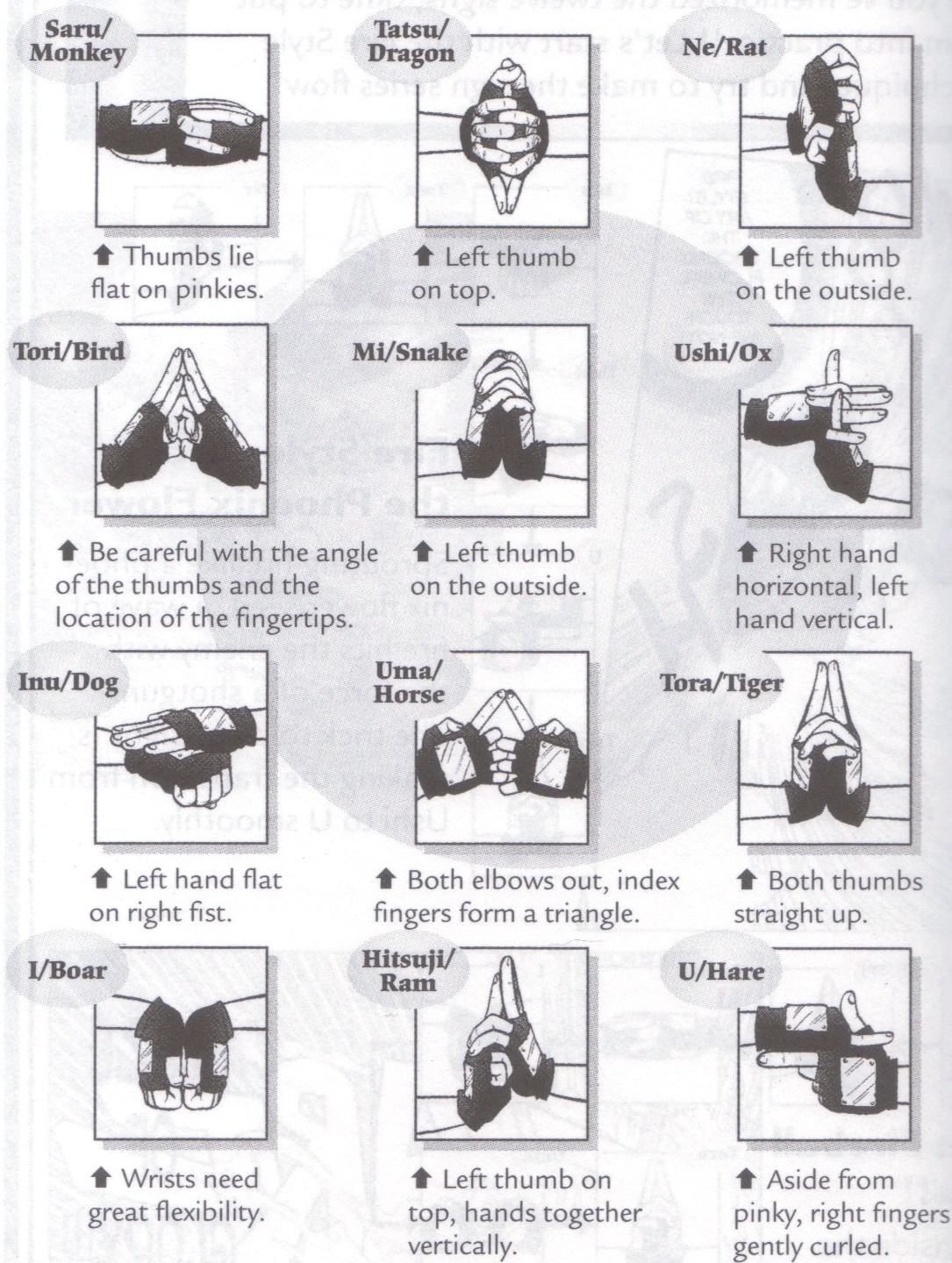 View 17 Hand Jutsu Signs - bildirwasuim