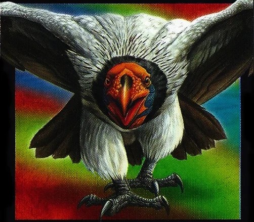 pix Argentavis Magnificens Largest Bird To Exist argentavis naturerules1 wiki fandom
