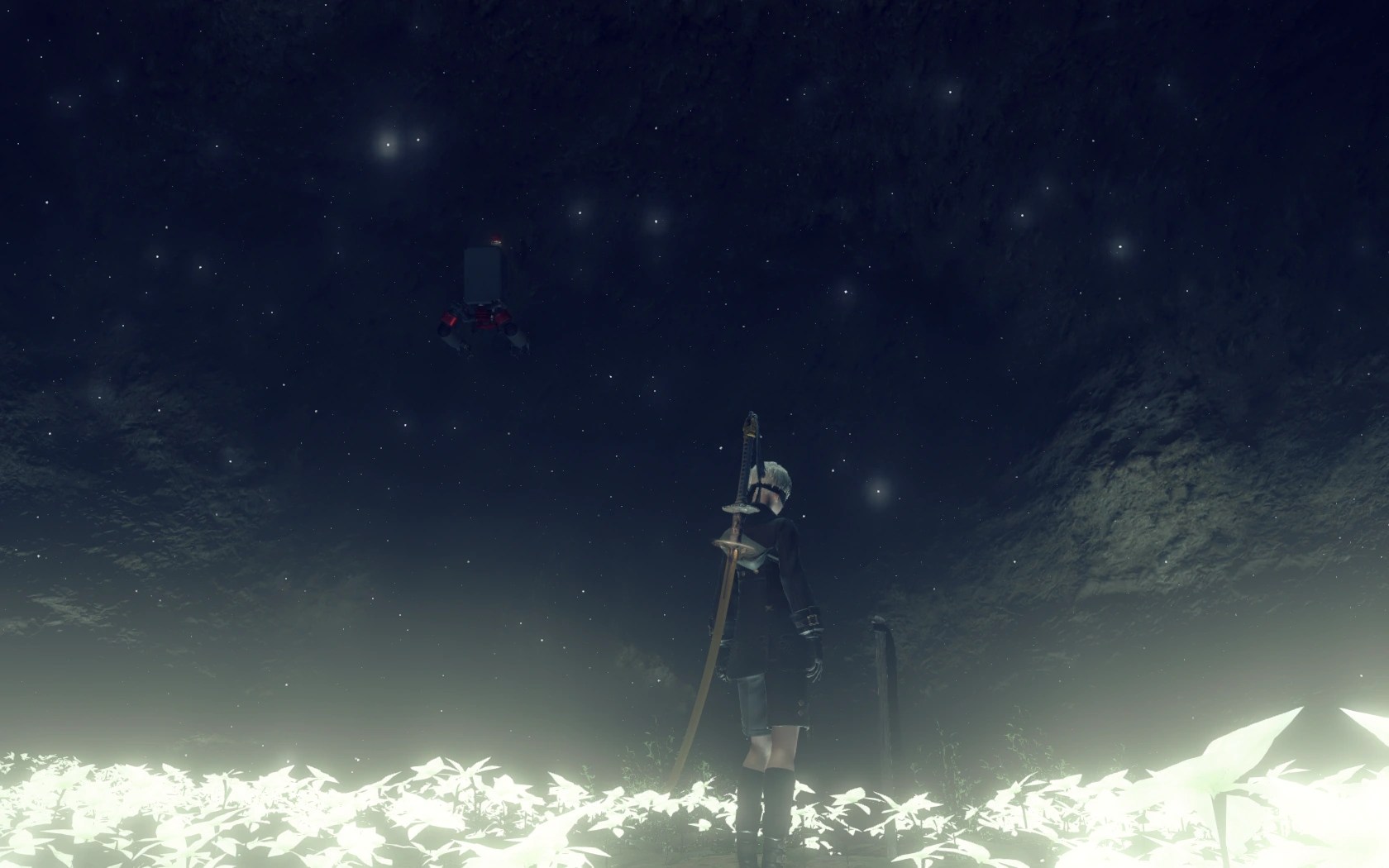 picture Nier Automata Emil's Memories Bug gathering keepsakes nier wiki fandom