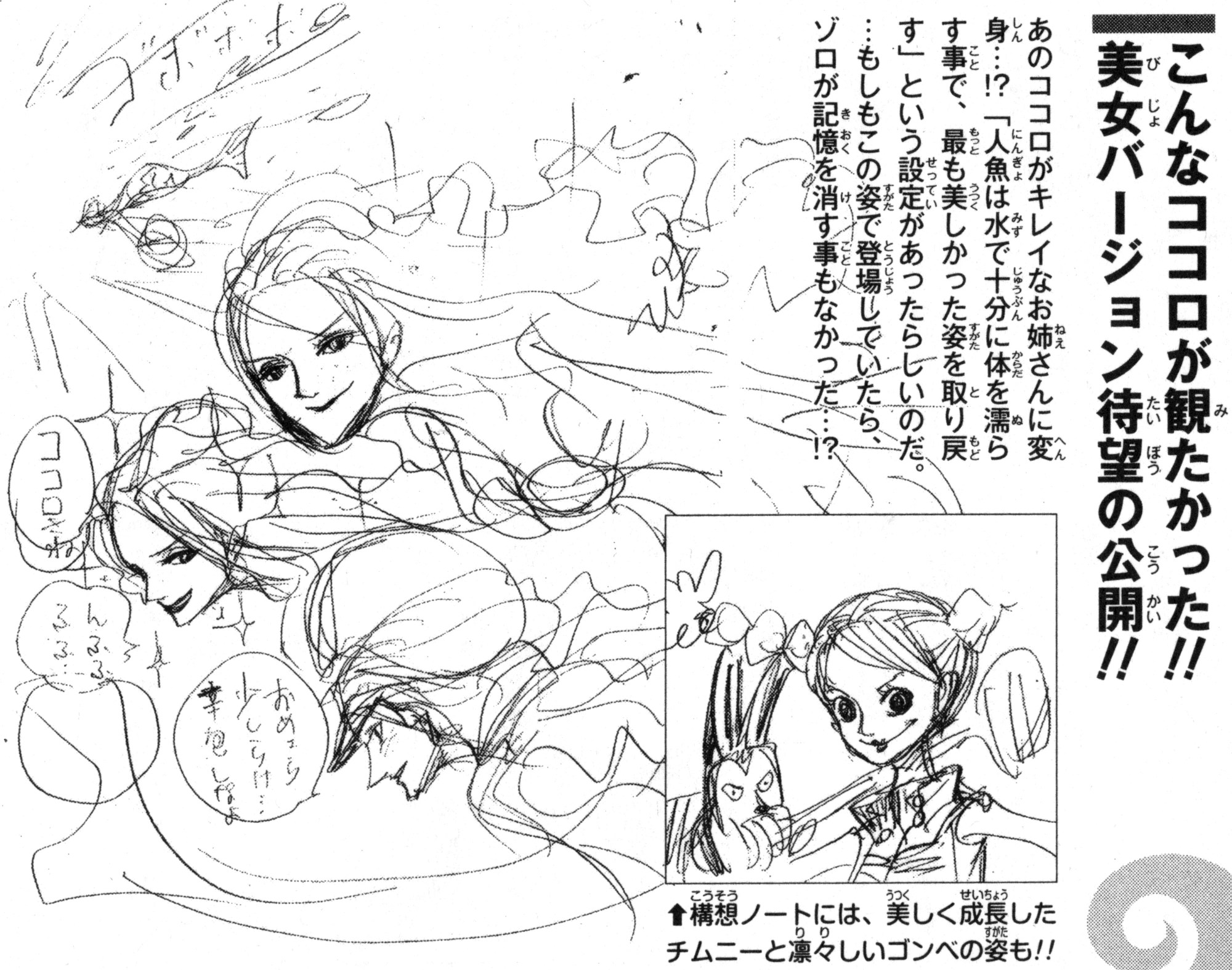 Concepts One Piece Wiki Fandom
