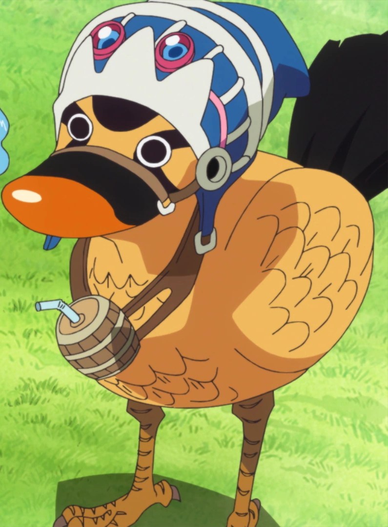 images Timeskip Chopper Pfp One Piece karoo one piece wiki fandom