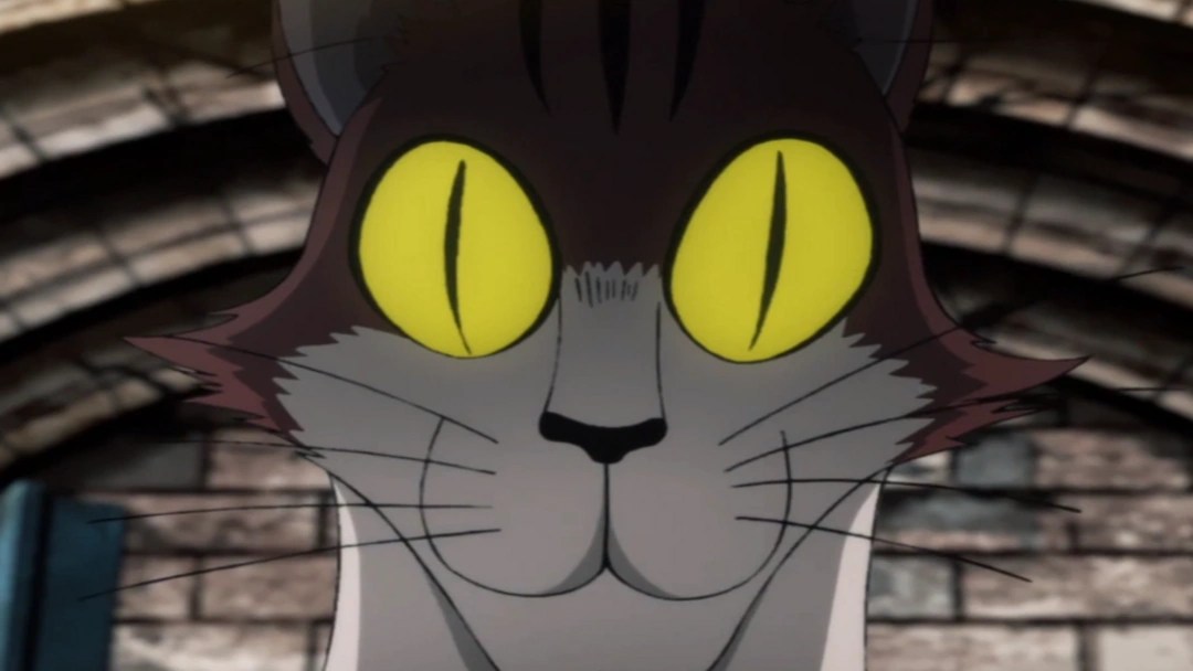 1366x768 Nyan One Punch Man Wiki Fandom Nyan One Punch Man Wiki Fandom