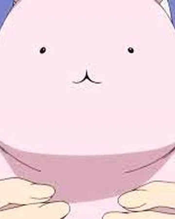 photo Ouran Highschool Host Club Honey's Bunny Name usa chan ouran high school host club wiki fandom