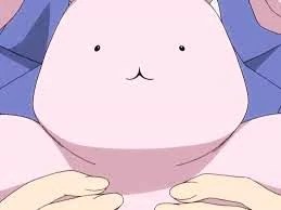 picture Ouran Highschool Host Club Honey's Bunny Name usa chan ouran high school host club wiki fandom