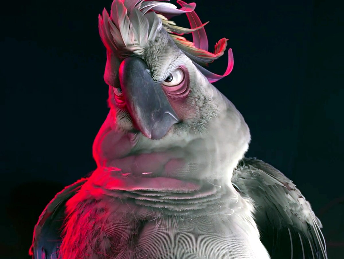 wallpapers Rio Nigel Captured Jewel rio wiki fandom