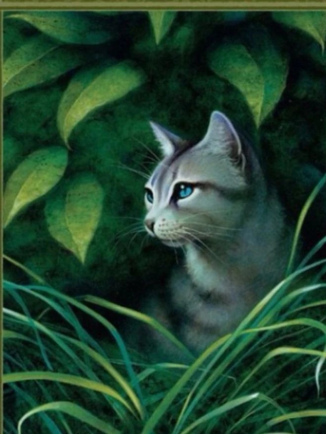 photo Anime Warrior Cats Ivypool ivypool scholastica gangs wikia fandom