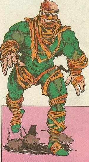 photo Tmnt Cartoon Rat King tmntpedia fandom