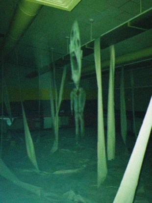 Until she was nothing but a piece of skin stretched onto a frame with eyes and a mouth, . The Reflection | Trevor Henderson Inspiration Wiki | Fandom