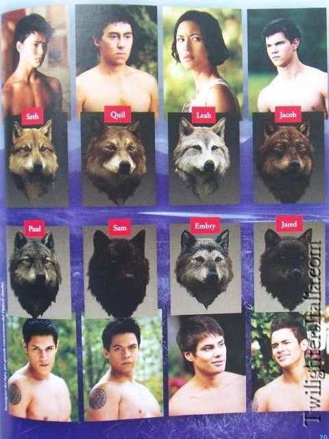 pics Twilight Wolves Pack Names twilight saga wiki fandom
