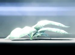 They sort of blend in with the . Frostleaf Warframe Wiki Fandom