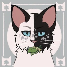 pix Warrior Cats Ocs Maker ibispaw warriors fanon wiki fandom