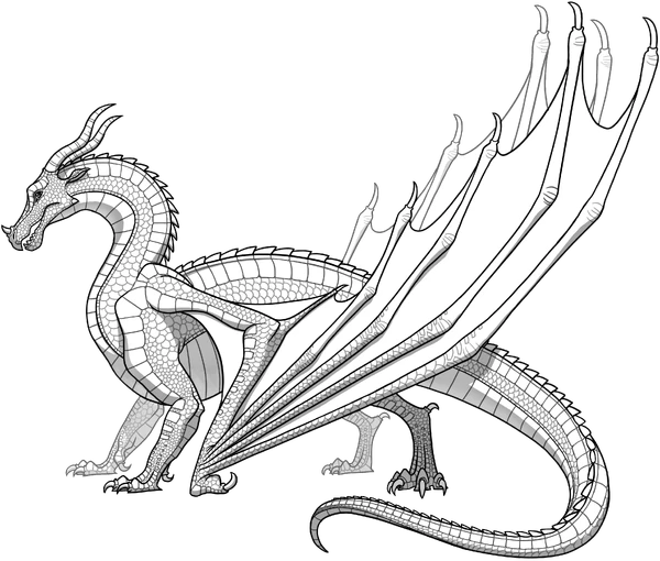wallpapers Wof Dragons Skywing skywings wings of fire wiki fandom