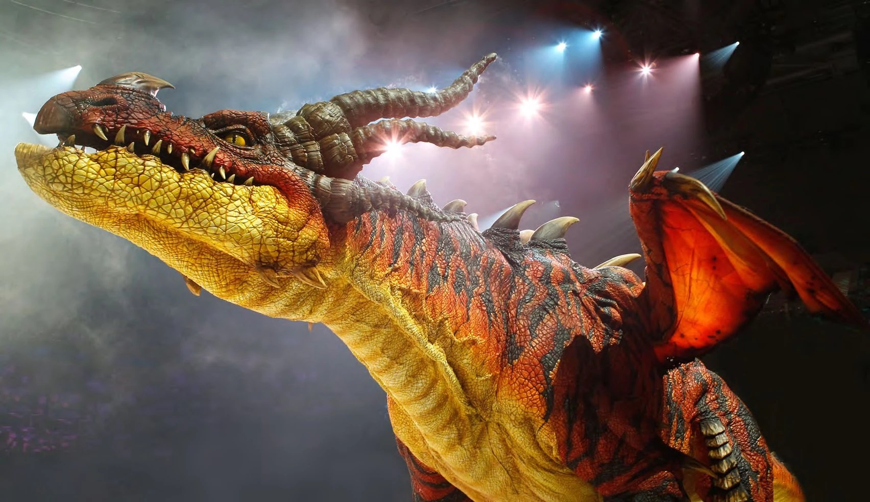 picture Httyd Dragons In Real Life european dragon zooniverse wiki fandom