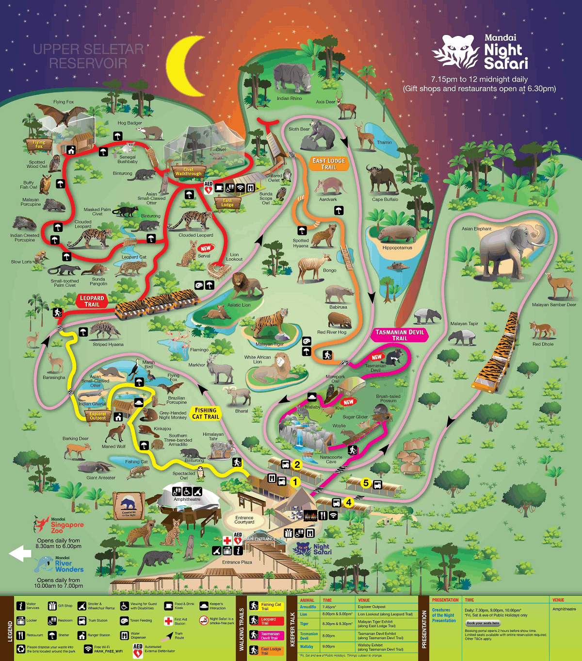 Discovering the nocturnal wildlife: highlights of the singapore night