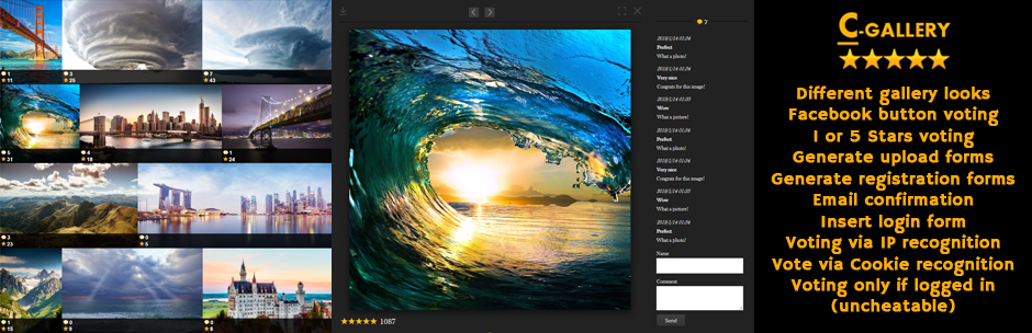 You can also use wordpress image gallery plugins to create even more robust galleries with. Contest Gallery Photo Contest Plugin For Wordpress Changelog Wordpress Plugin 2021