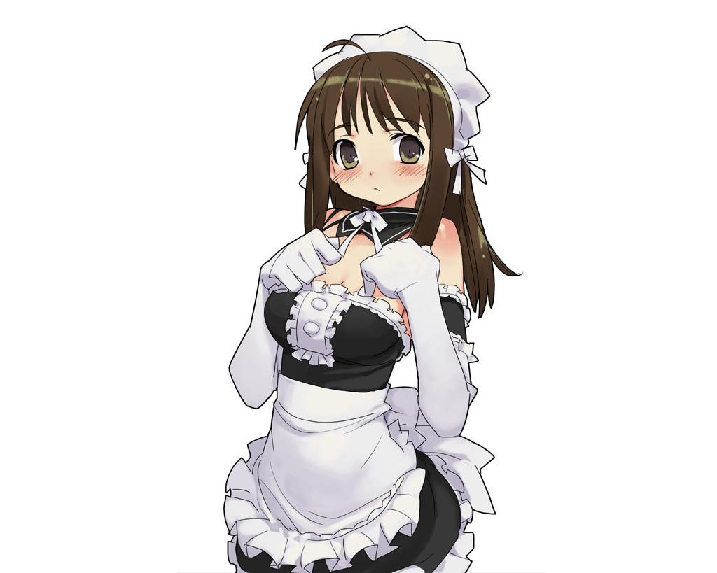 Kore Ga Hoshiin Desho