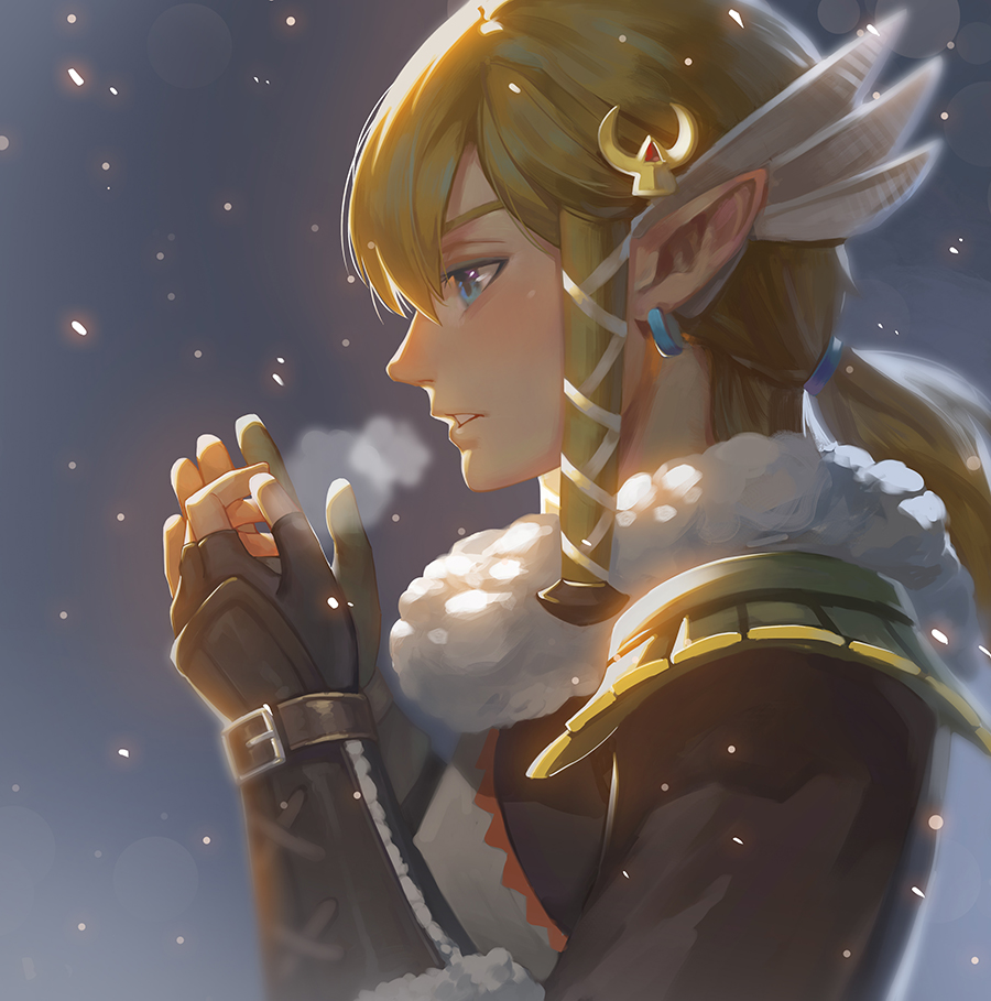Link (Breath of the Wild), Fanart. zerochan/filter. 