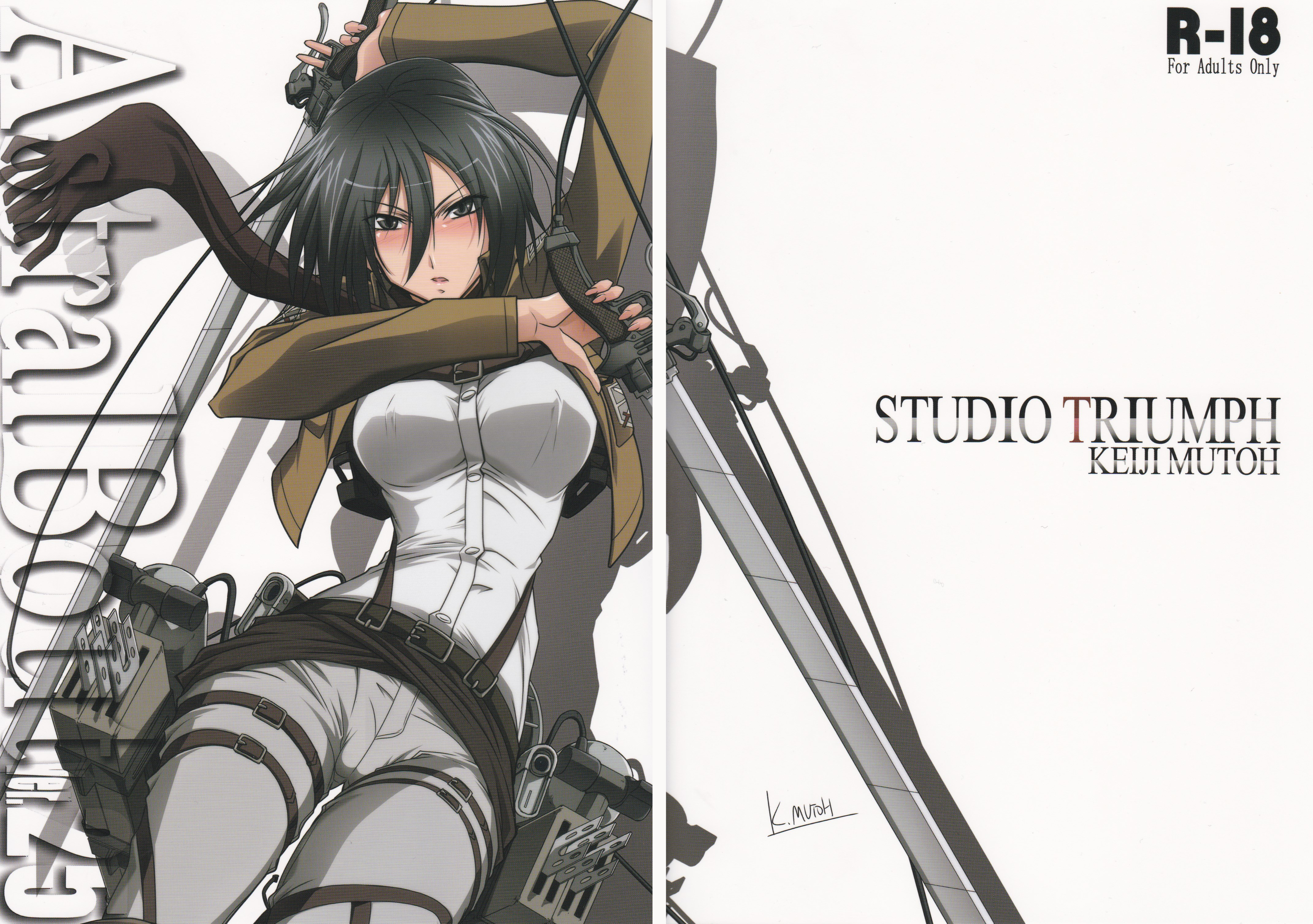 Mikasa Ackerman - Attack on Titan - Image #1604914 ...