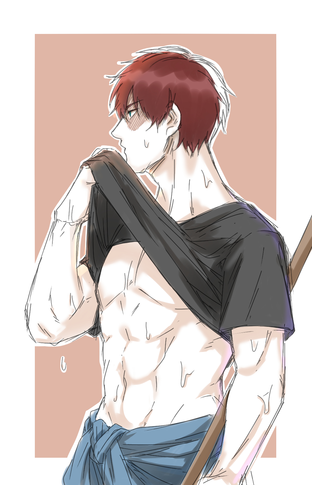 Shoto Todoroki Hentai