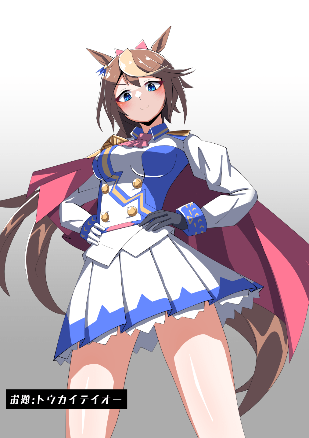 Tokai teio
