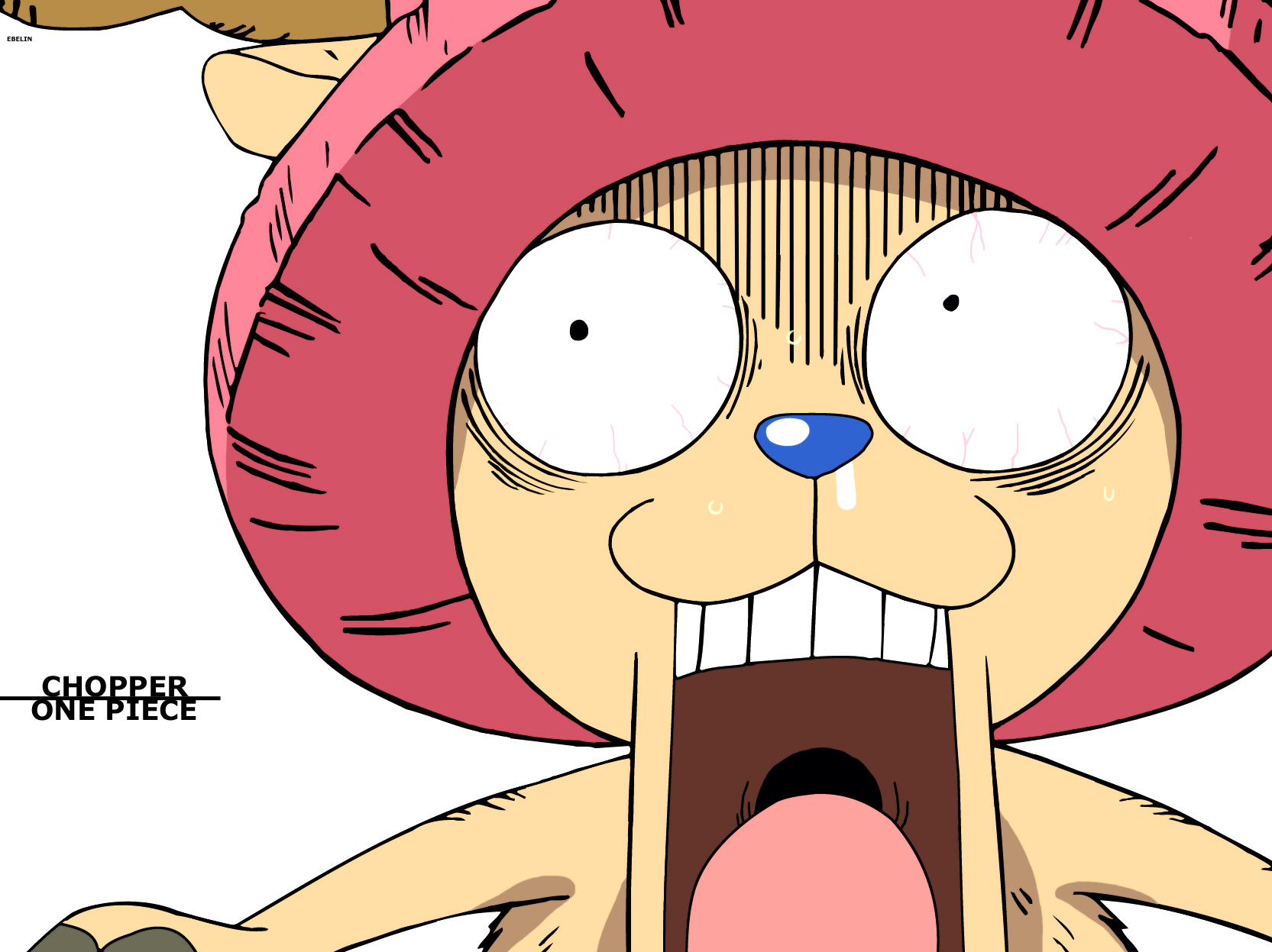 Tony Tony Chopper One Piece Wallpaper 45063 Zerochan Anime Image Board
