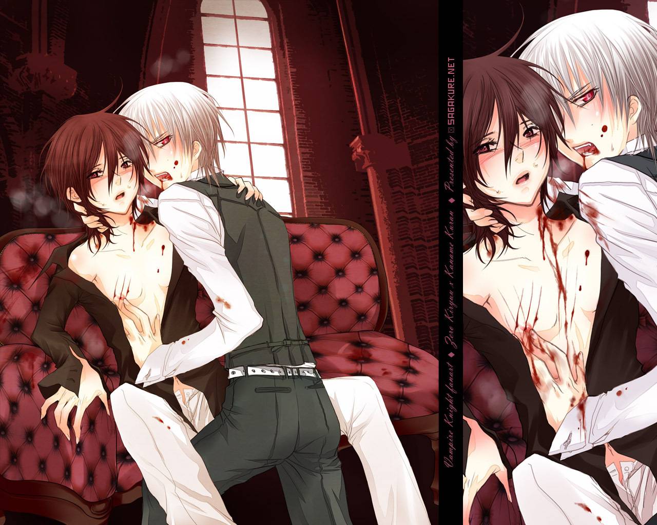 Slideshow vampire knight porn.