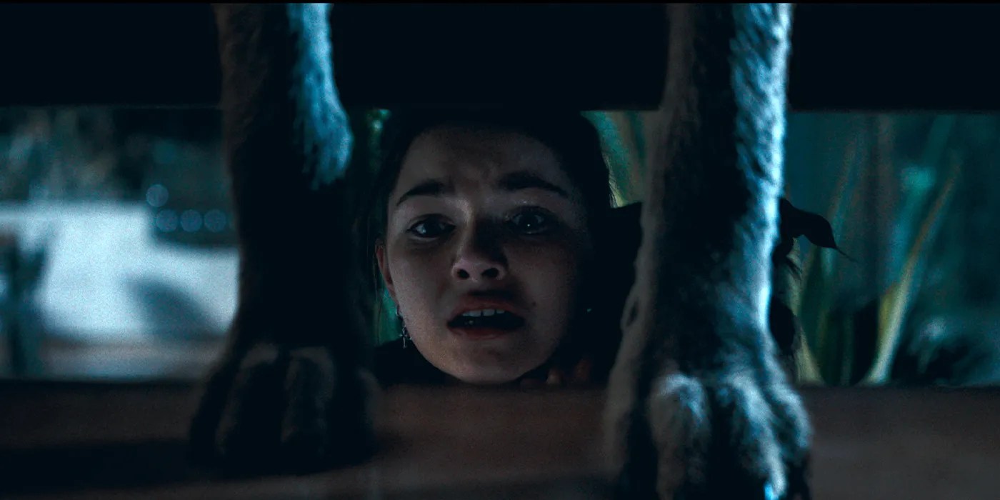 Coyotes Nsbbs - Ultra HD Nature Design - Full HD