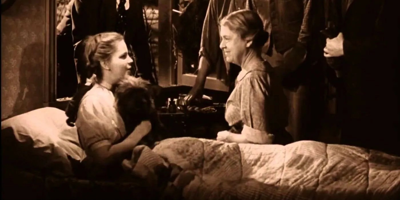 This Wizard Of Oz Character Has A Gun But Why - Ultra HD Minimal Arts for Desktop