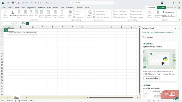 The Sundarban Inserting Python code in Excel sheet.