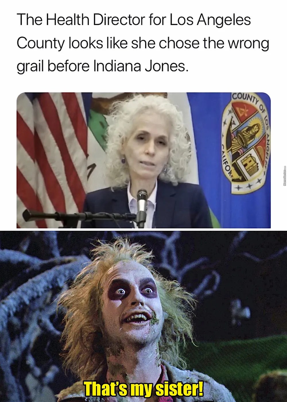 These memes appeal to adults and children alike. It S Showtime 10 Hilarious Beetlejuice Memes That Ll Have You Cry Laughing