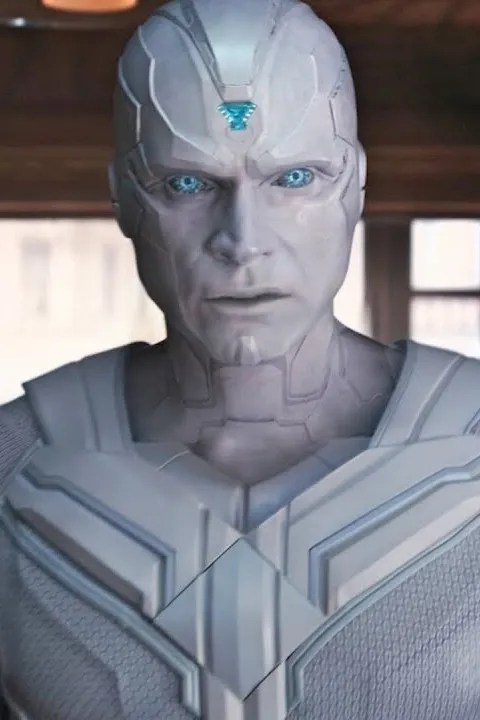 Imaginative and prescient Quest Star Paul Bettany Discusses WandaVision Spinoff