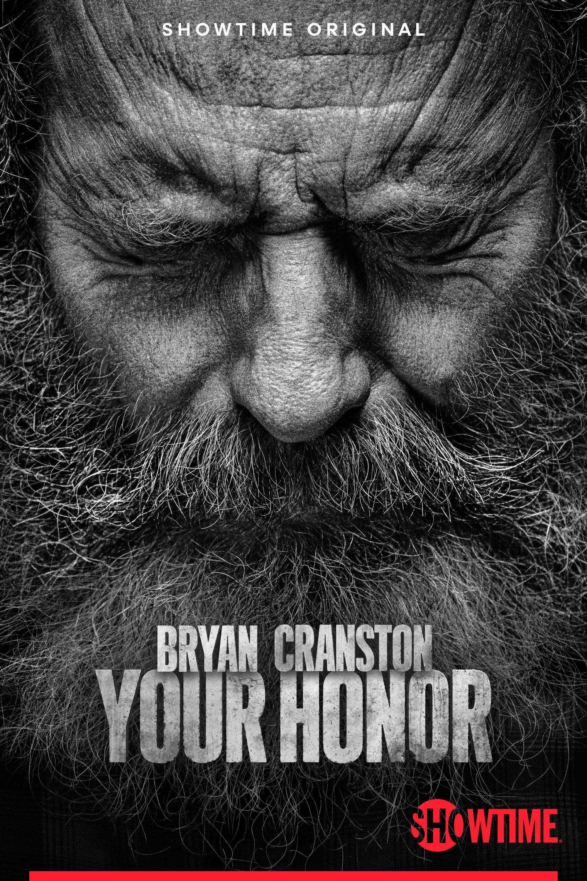 Your Honor Cast Character Guide