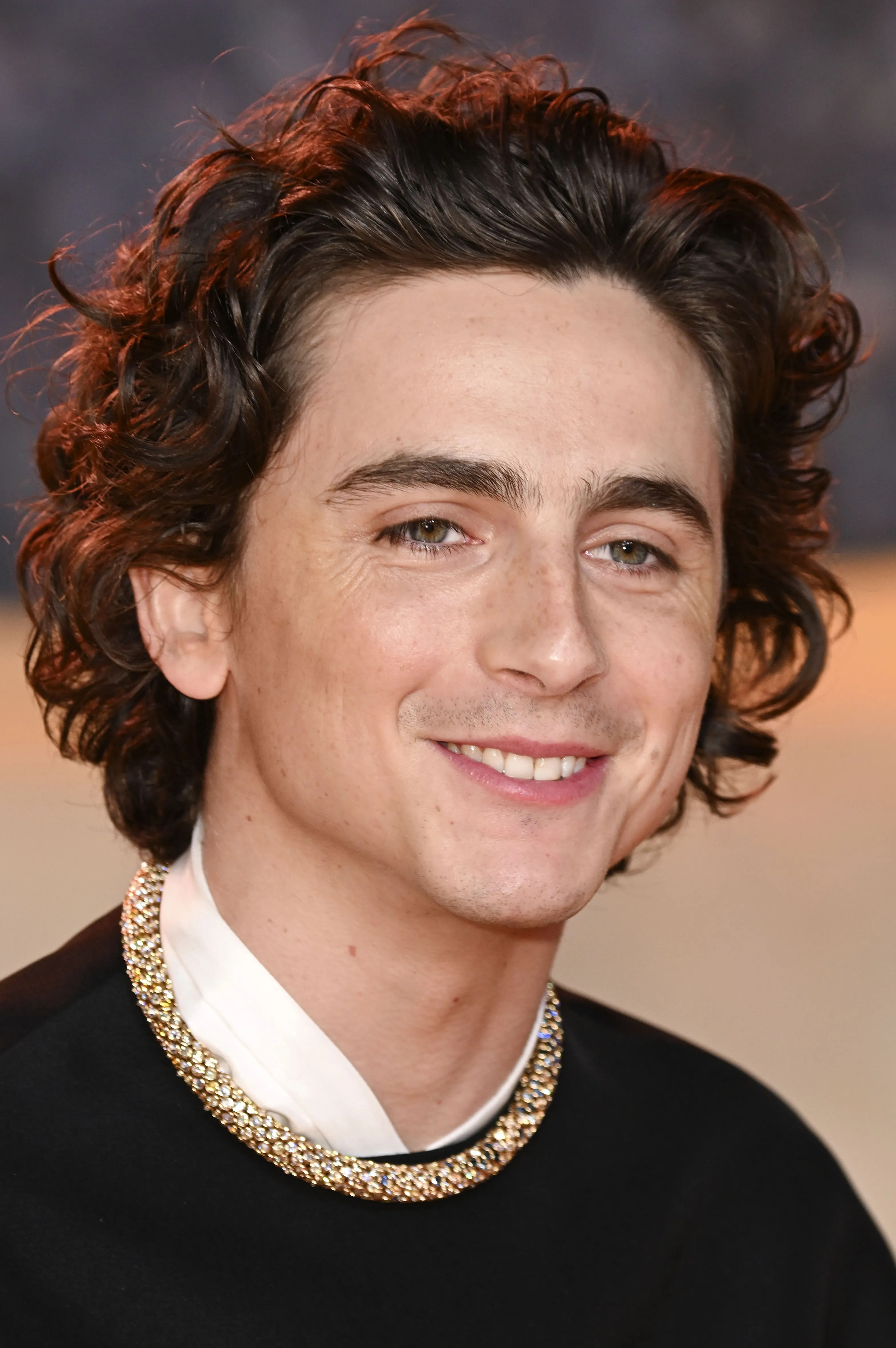 Timothée Chalamet Reveals His “Riskiest” Function But That “Didn’t Get Its Truthful Shake”