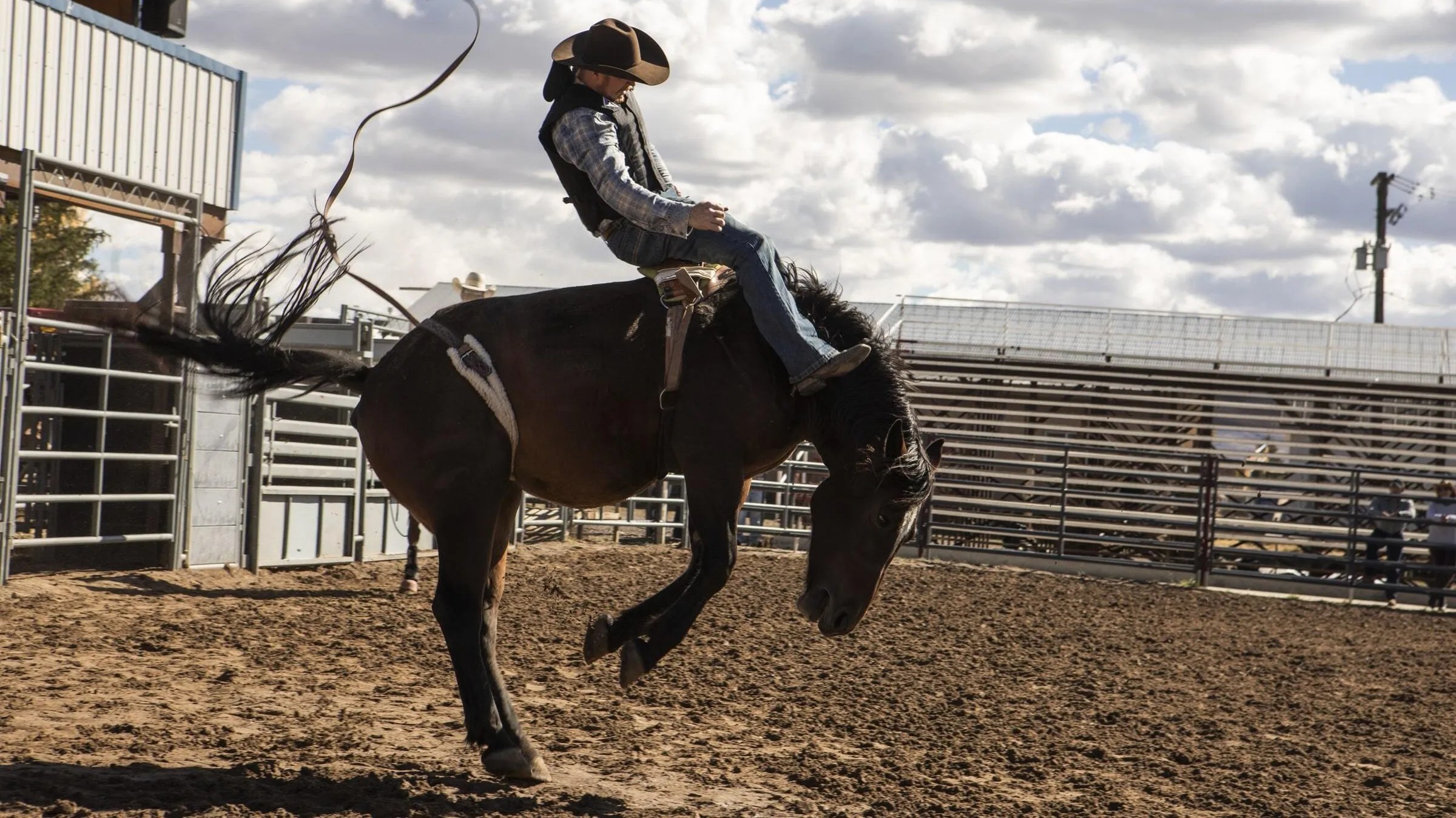 Taylor Sheridan’s New 8-Half Crime Collection Provides OG Yellowstone Star To Stacked Forged