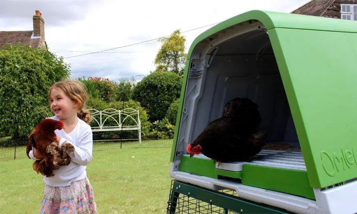 Omlet eglu chicken coop reviews