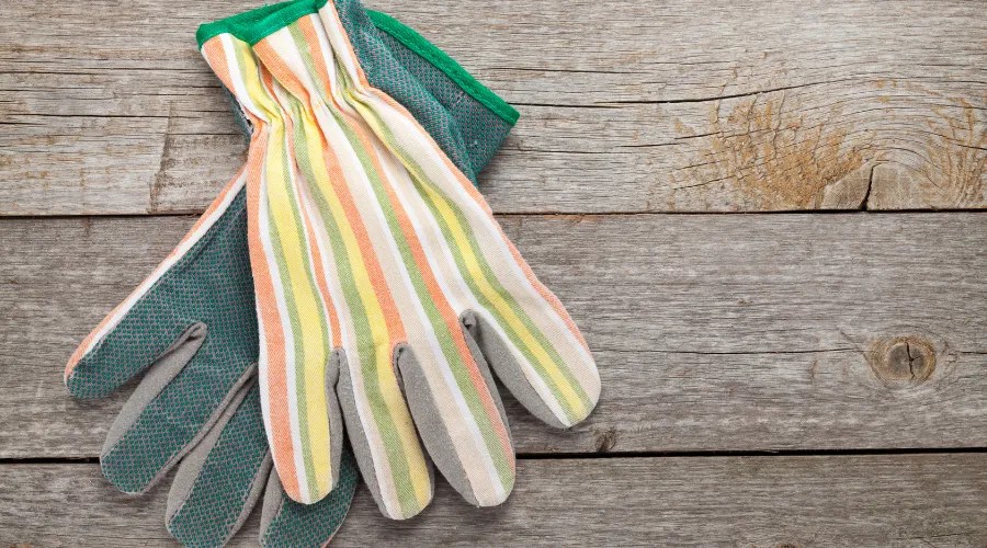 Does vinegar kill ivy and how to properly use it?