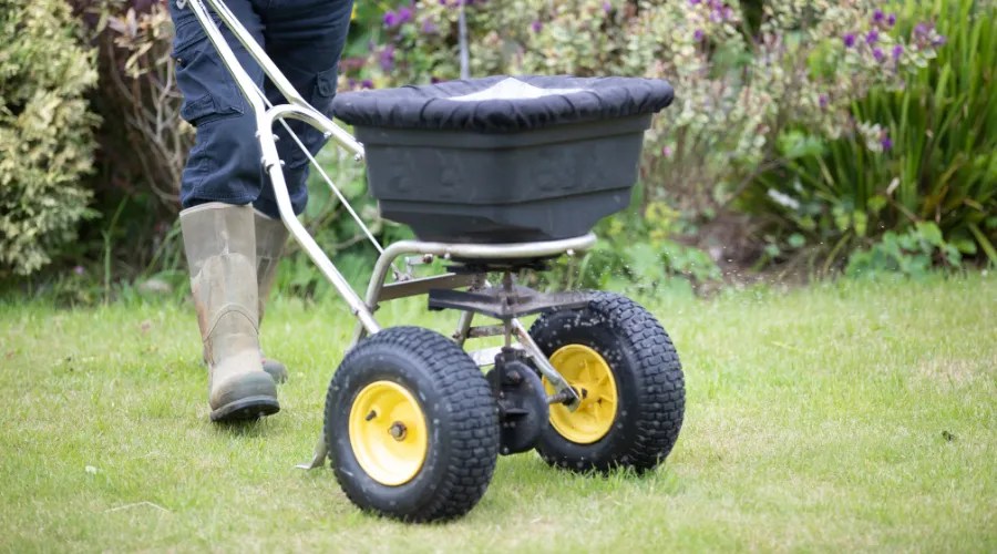 Does putting sugar on your lawn really kill weeds?