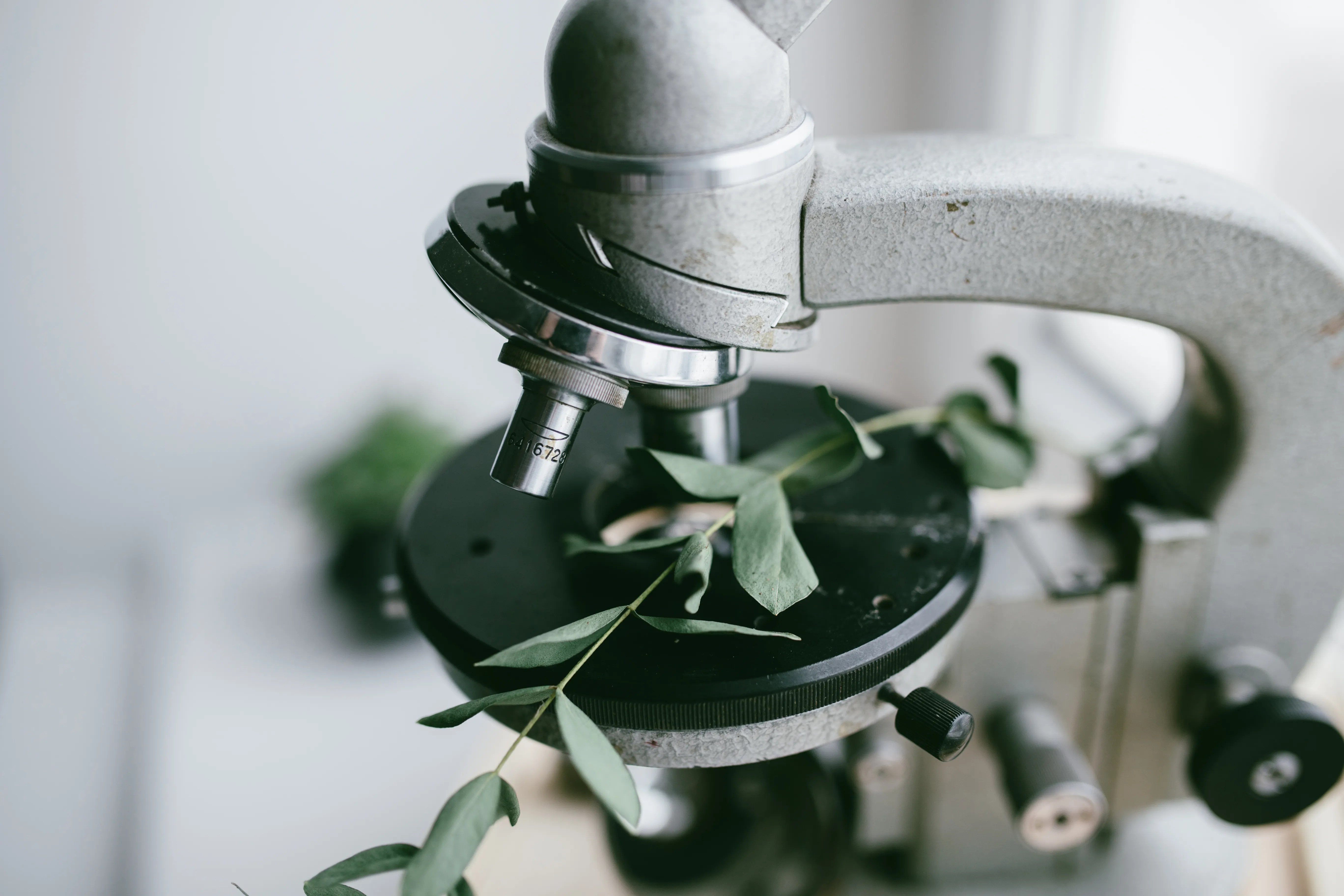 Unveiling nature’s secrets: the role of forensic botany in criminal investigations