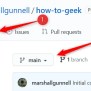 How To Create A New Branch In GitHub