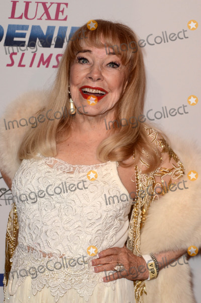 About Terri Moore Medium - Premium Mountain Background Gallery - Ultra HD