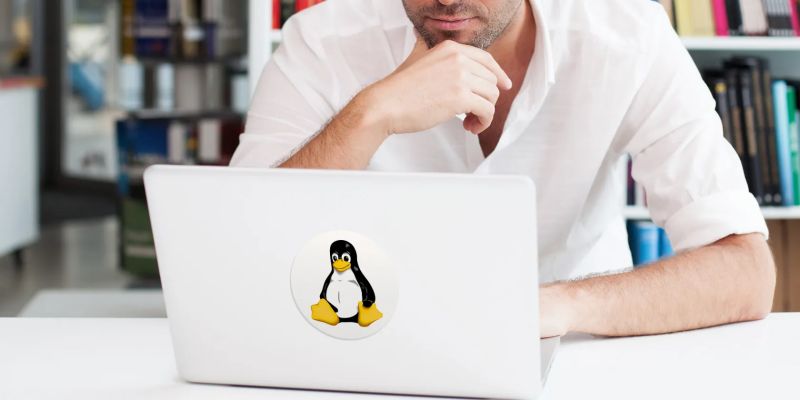 5 Convincing Reasons To Choose Linux For Programming - High Quality Full HD City Designs | Free Download