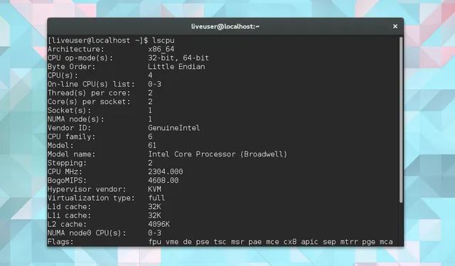 How To Kill Programs And Check System Information In Linux - Creative City Image - Full HD