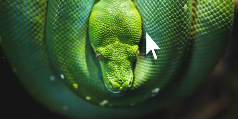 Python Click Library Guide Easily Build Command Line Applications In - Sunset Art Collection - Desktop Quality