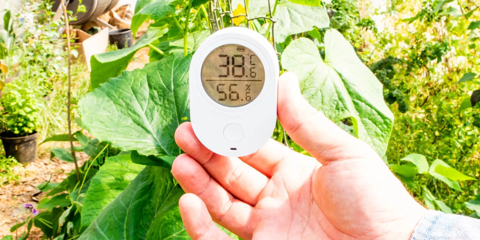 Apply coupon code govee5041e for a savings of $21. No More Dead Plants With The Govee Wi Fi Temperature And Humidity Monitor