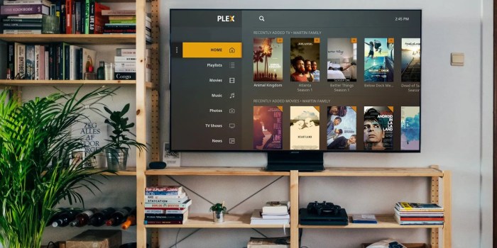 Rare chance to save 20% in this Lifetime Plex Pass deal