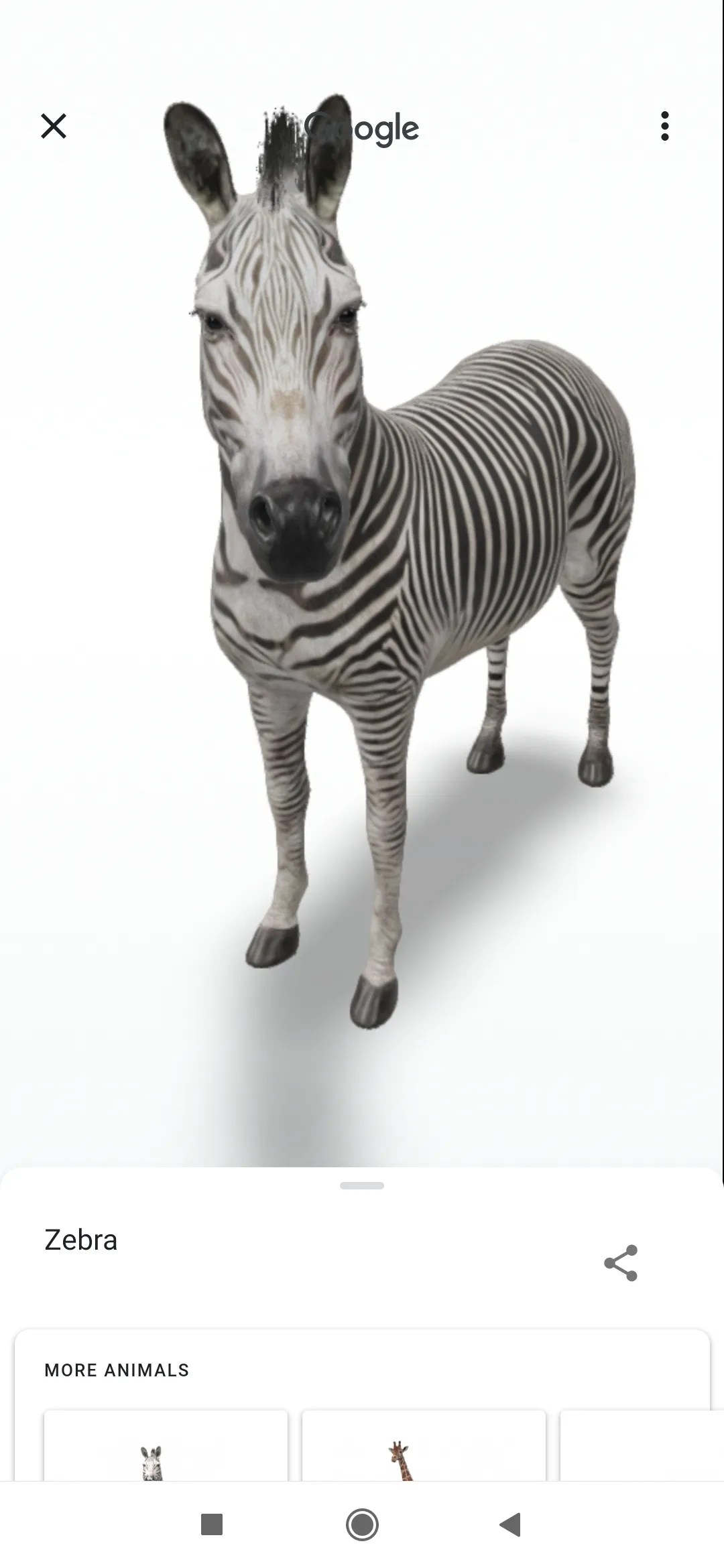 How to view google's 3d animals and go on a virtual safari